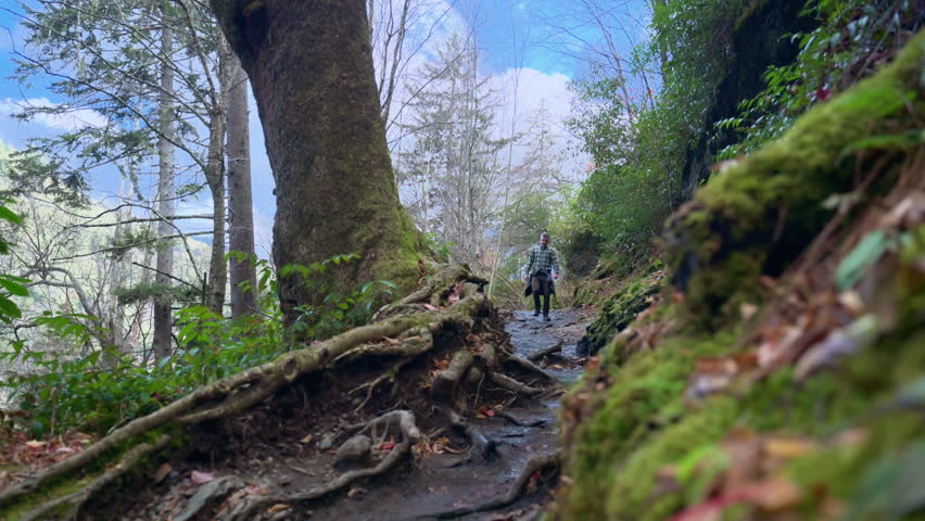 POV A hiker walks along a rugged forest trail surrounded by tall trees, rocks, and greenery. The scene represents outdoor adventure, hiking, and peaceful nature exploration.