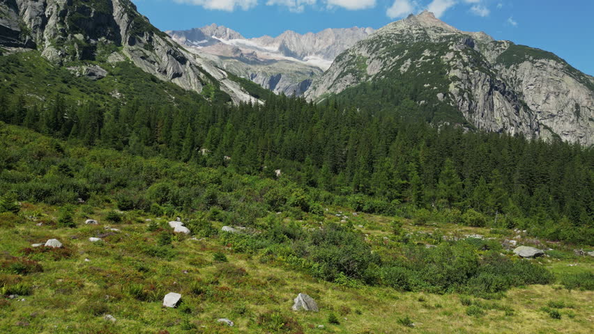 Swiss Alps Landscape – Green Meadow, Forest, and Glacier Peaks in Switzerland