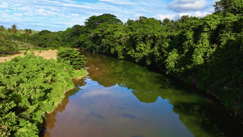 A river meanders through lush green waterways with trees and a cloudy sky. Landscape with a stream flowing through a valley. Daytime landscape of a small stream winding through forests.