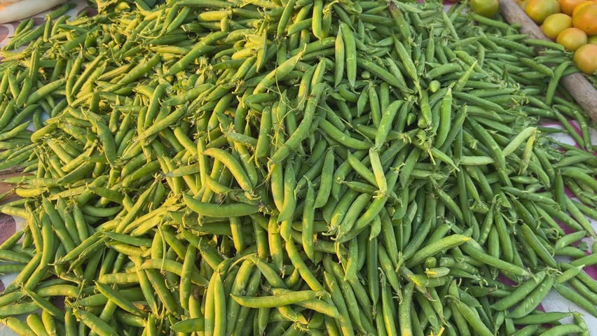 Low-angle orbiting shot around a large pile of fresh green peas at local market, smooth pods catching warm daylight as circular motion reveals texture abundance