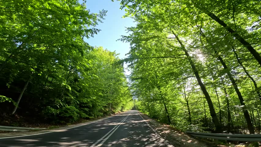 car moves along a rural road in early spring