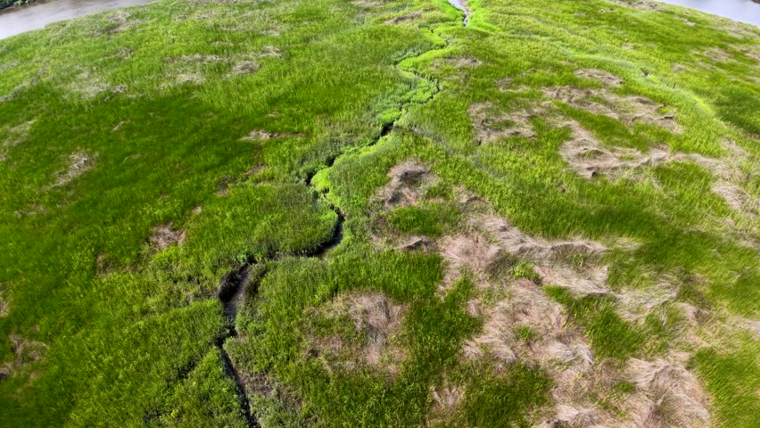 Aerial drone shot of a lush green marsh or grassland in Middleton Place Plantation near Charleston, South Carolina, showing patches of vegetation and meandering water channels.