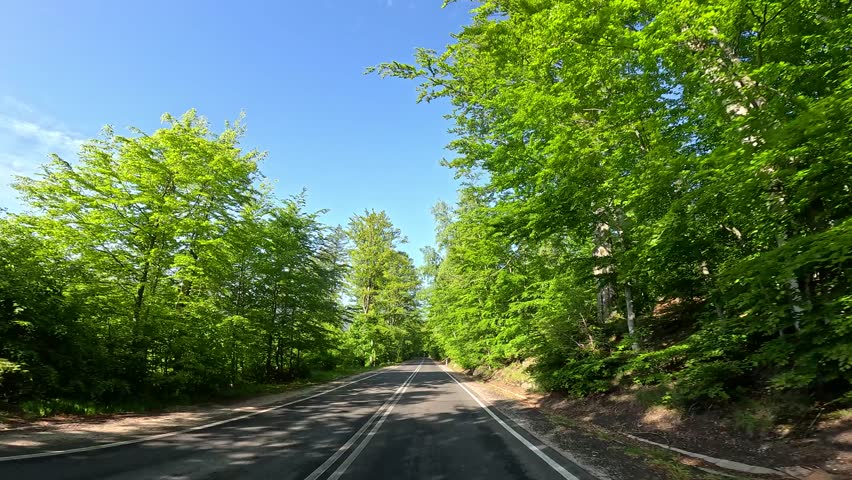 car moves along a rural road in early spring