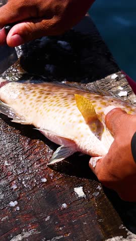 A fisherman uses a sharp knife to scale a fresh grouper on a wooden board.