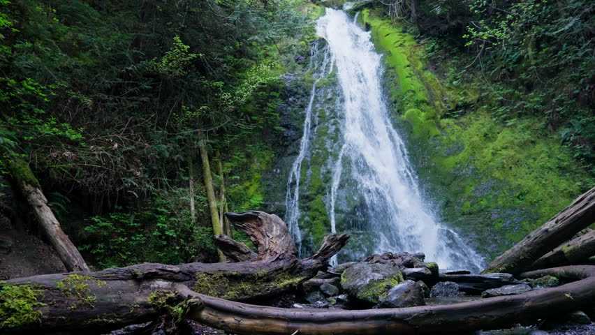 Waterfall in Olympic National Park, Washington, cascading through lush forest and moss-covered rocks. Scenic, tranquil nature ideal for travel and landscape footage