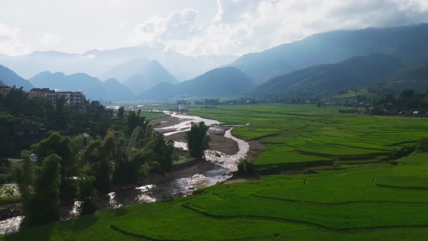 Aerial footage of green rice fields and a winding river flowing through a mountain valley in Mu Cang Chai, Vietnam. Peaceful rural scenery highlighting agriculture and nature in northern Vietnam.