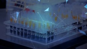 Animation of globe over african american female scientist in lab. global science, medicine and digital interface concept digitally generated video. - Powered by Shutterstock - Get 15% off with code: PIKWIZARD15