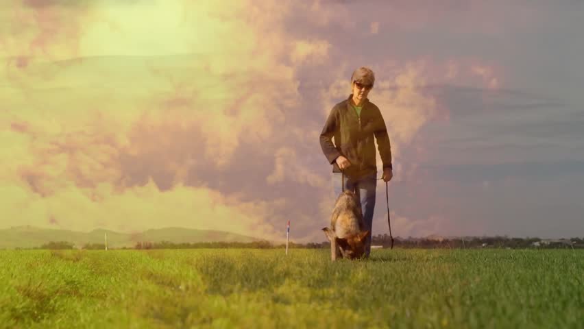 Walking dog on grassy field under colorful sky, person enjoying animation scene. Landscape, sunset, nature, pet, outdoors, leisure