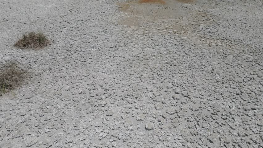Macro-perspective of the mineral-rich floor of a dry lagoon in the heart of the Brazilian Cerrado savanna, showcasing complex desiccation patterns and iron-oxide precipitates, Chapada dos Vadeiros.