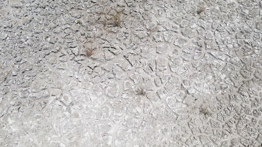 top-down macro perspective of the mineral-rich floor of a dry lagoon in the heart of the Brazilian savanna, showcasing complex mud-crack patterns and iron-oxide precipitates, Goias, Brazil