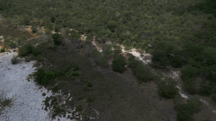 High-angle aerial sequences capture the intricate ecological management of a dry river basin in the Cerrado biome during the peak dry season, Goias, Brazil.