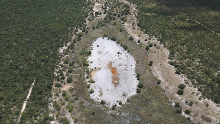 High-angle aerial perspective of a mineral-crusted dry lagoon in the Brazilian Cerrado, showcasing iron-oxide deposits and resilient savanna vegetation, Chapada dos Vadeiros, Goias, Brazil