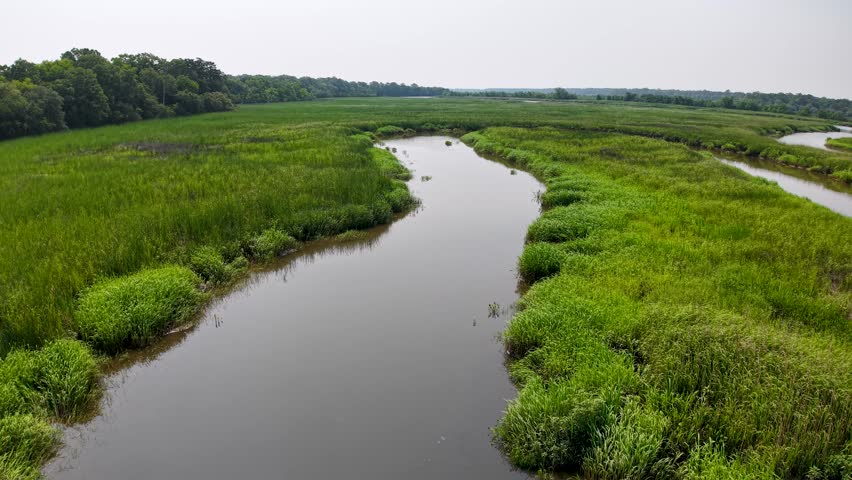 Aerial drone footage of a long narrow water channel winding through lush green marshlands at Middleton Place Plantation near Charleston, South Carolina.