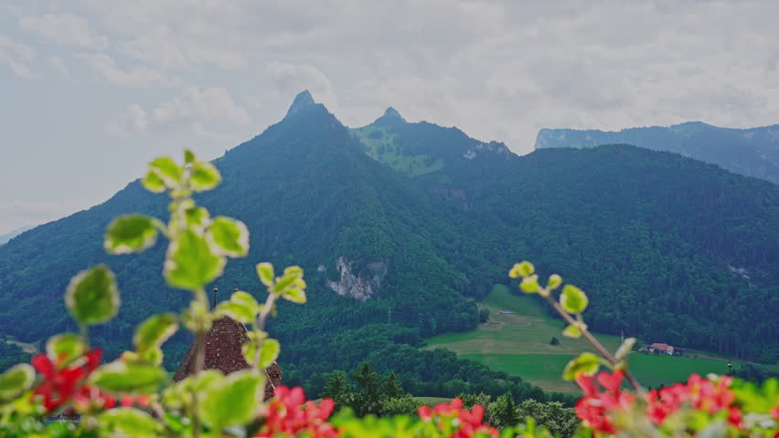 Beautiful Swiss Mountain Landscape with Flowers in Gruyères, Switzerland. Filmed on 20 September 2025.