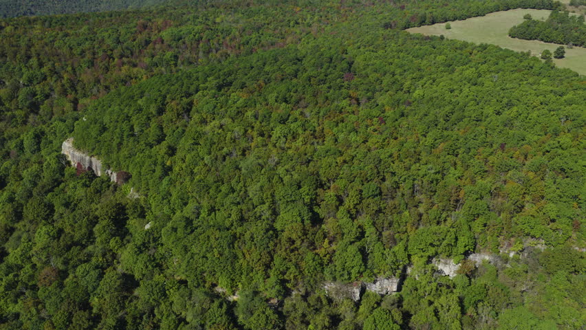 Aerial tilt up across dense hardwood forest with subtle elevation changes and continuous green canopy below, Antenna Pine Arkansas