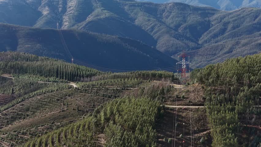 Electric power lines and towers over mountains and forests