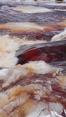 4k, Vertical video, Close-up view of the turbulent stream and rapids of the Roshchinka River with brown water, at daytime, Lindulovskaya grove, Leningrad Oblast, Russia