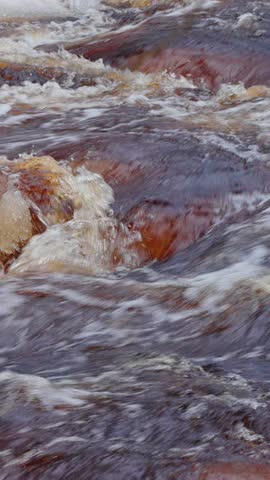 4k, Vertical video, Close-up view of the turbulent stream and rapids of the Roshchinka River with brown water, at daytime, Lindulovskaya grove, Leningrad Oblast, Russia