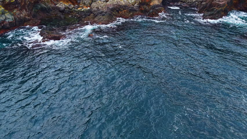 Early morning light dances on the ocean as gentle waves meet rugged rocks. The scene is peaceful, capturing nature