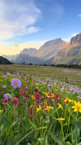 Stunning Mountain Landscape with Vibrant Wildflowers in Alpine Meadow at Sunset