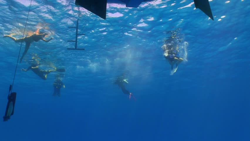 group of divers preparing to dive, Red sea