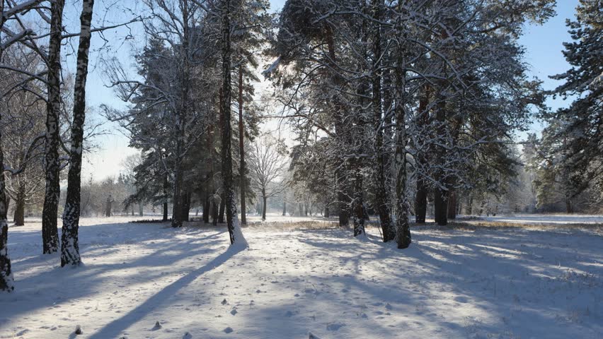 Walking through a winter park filled with snow and cold air.
