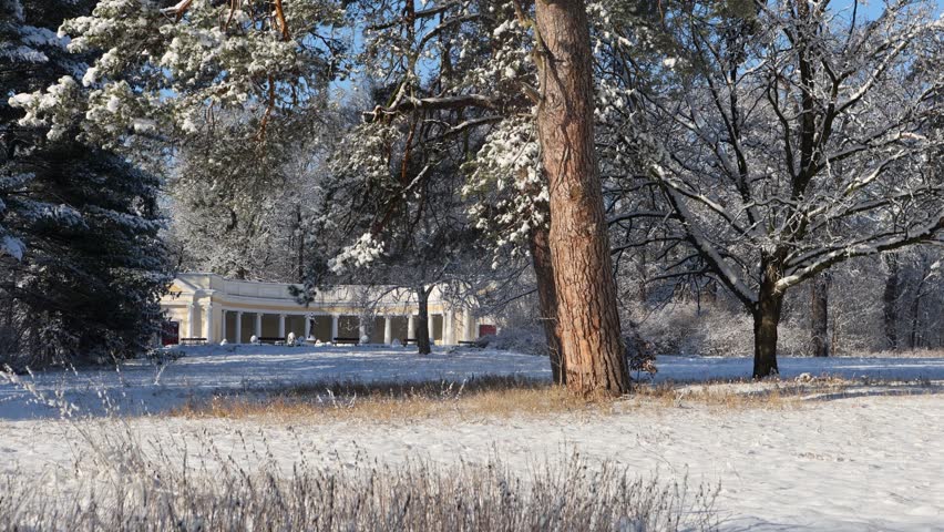 Snow falls from trees in a beautiful winter arboretum with monuments.