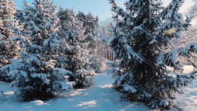 Fir trees dressed in snow stand across a fabulous winter landscape, where clear light and cold air highlight the purity of the season. - Powered by Shutterstock - Get 15% off with code: PIKWIZARD15