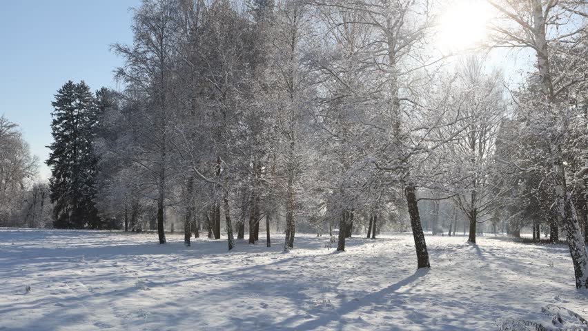 Walking through a winter park filled with snow and cold air.