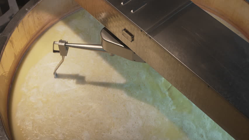 Mixing Cheese Curds in Traditional Swiss Copper Vat. Filmed on 20 September 2025.