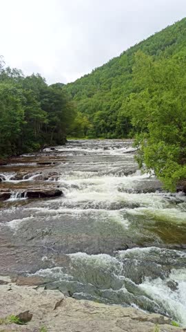 River rapids with rocks and forest. Fast flowing water around large stones, green trees on riverbank and rocky cliff, outdoor nature landscape, daytime.