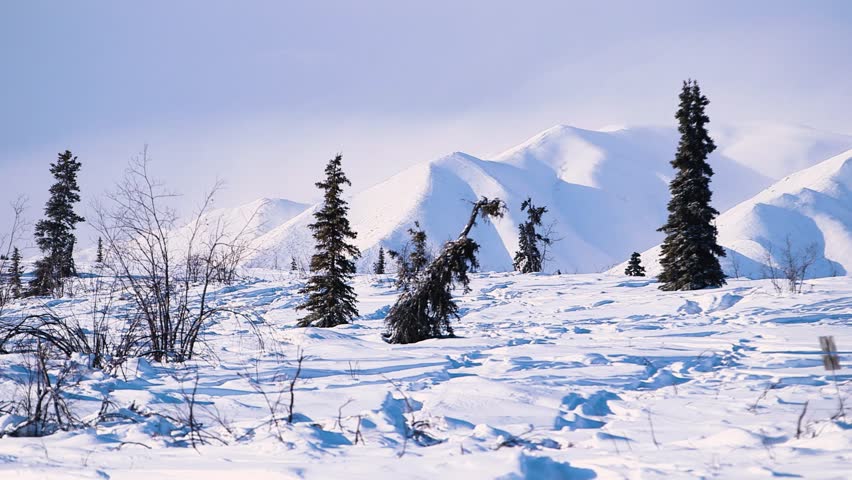 Wide shot of alaska wilderness covered in snow
