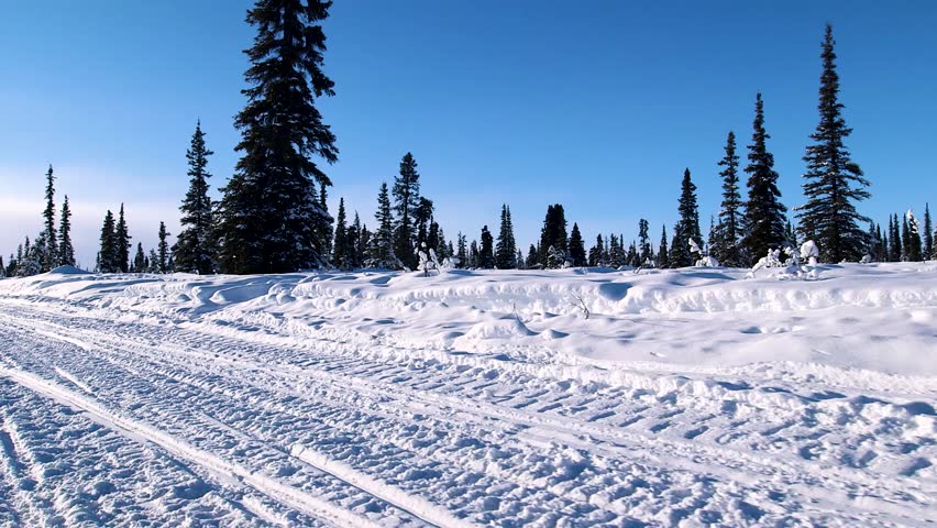 Snowy landscape in the winter Alaska
