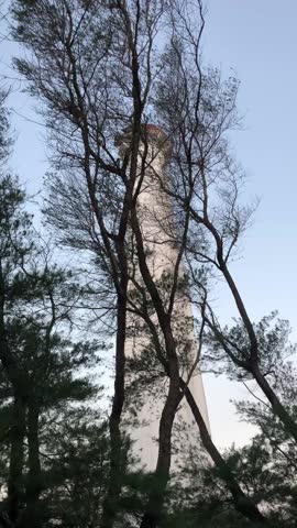 A vertical shot of a tall concrete tower partially covered by trees, showing contrast between architecture and natural surroundings.
