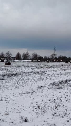 A snow-covered field with round bales of hay in the evening