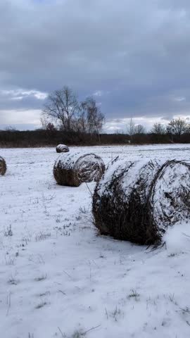 Round bales of hay on a snowy field under a cloudy sky