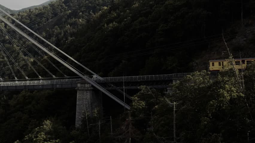 beautiful bridge on the center of forest train move on it