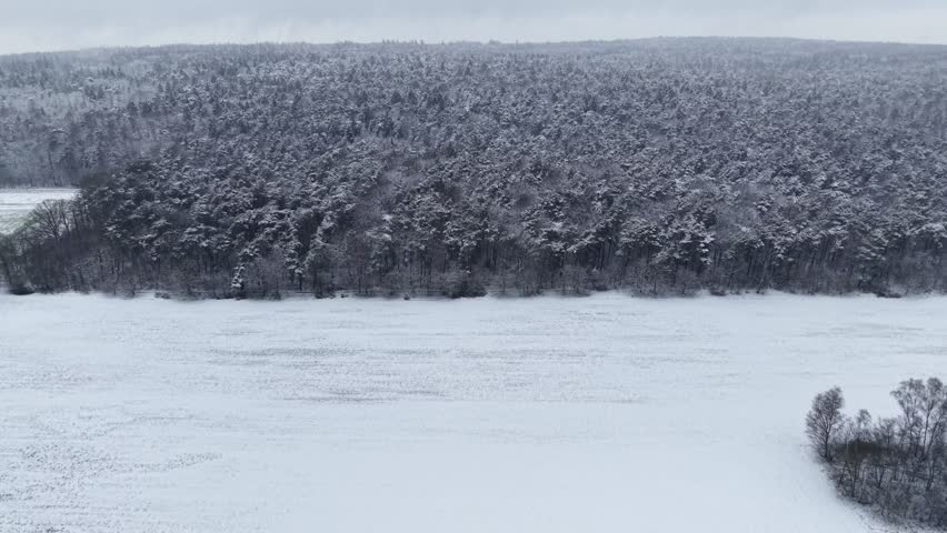 Aerial view of snowy forest landscape in winter