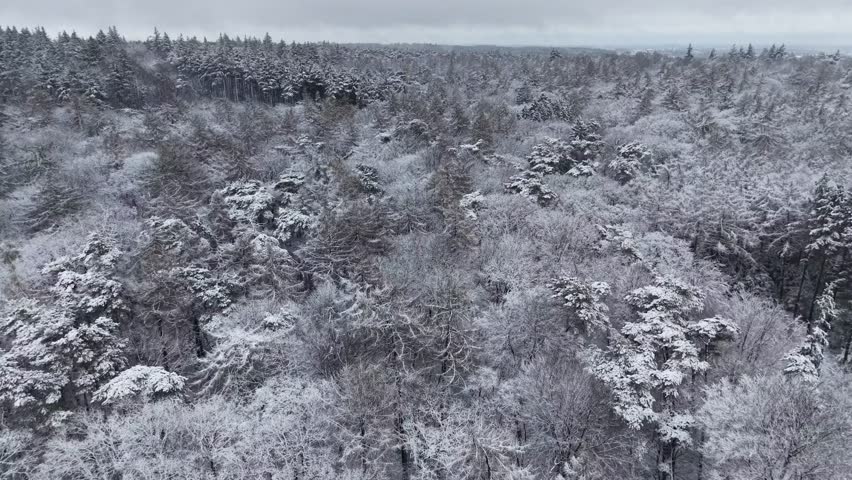 Aerial view of snowy forest landscape in winter