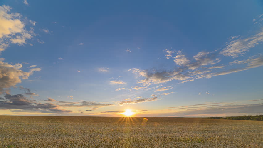 A Serene Sunset Spreading Over A Vast wheat Field, Capturing the Beauty of Natures Splendor