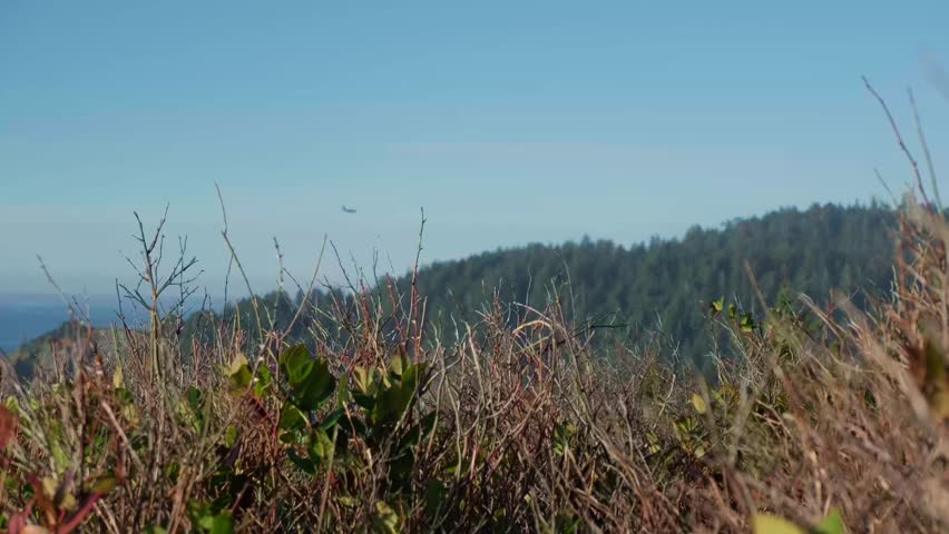 Wild Grass and Coastal Hills Under Blue Sky – Scenic Nature Landscape