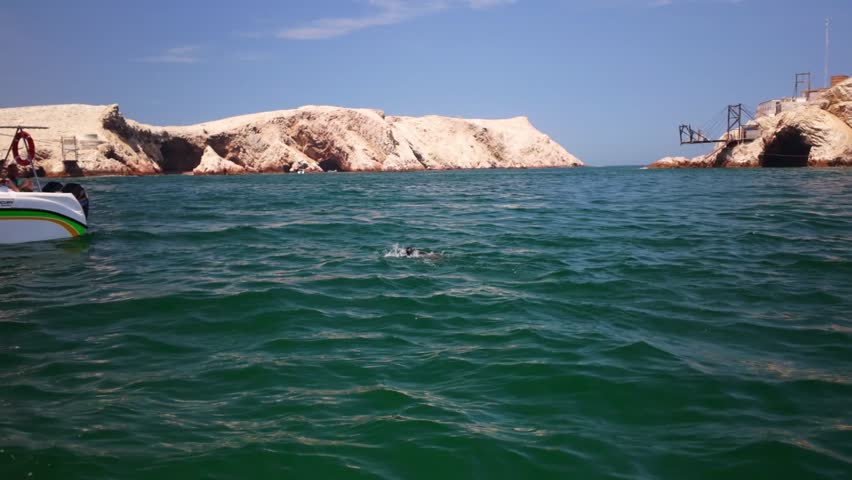 Slow motion view of a sea lion jumping in the emerald green ocean near the rocky ballestas islands on a sunny day during a boat tour in peru