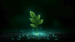 Futuristic plant sprout glowing above circuit board roots, symbolizing the connection between nature and advanced digital technology. - Powered by Shutterstock - Get 15% off with code: PIKWIZARD15