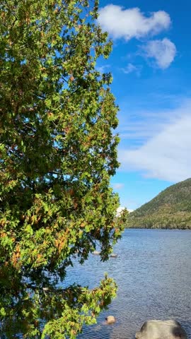 On the Shoreline of Beautiful Jordan Pond (Acadia National Park, Maine, USA)