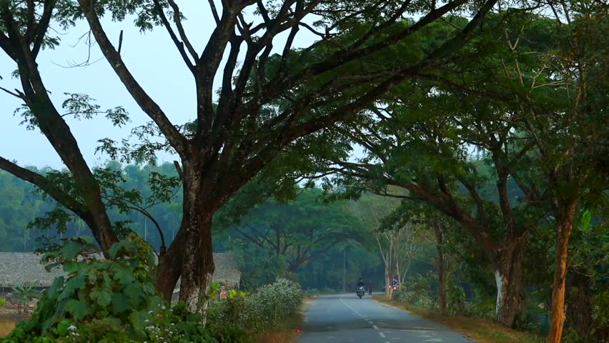Calm countryside road passing beneath large trees that form a natural green canopy, with distant motorcycles traveling along the road. The scene reflects peaceful rural life, lush vegetation, and a quiet outdoor atmosphere, suitable for nature, travel, and everyday lifestyle concepts.
