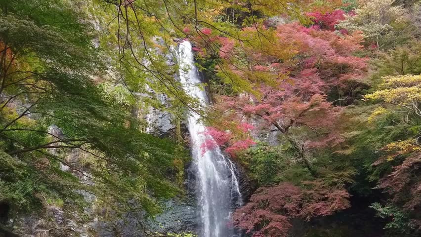 A serene waterfall cascading through a vibrant autumn forest, showcasing fall foliage, natural beauty, and peaceful woodland scenery.