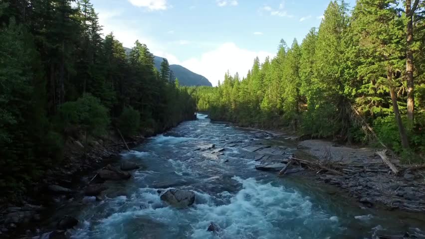 A clear river gently flowing through a lush mountain forest, showcasing serene nature, wilderness, and pristine freshwater landscape.