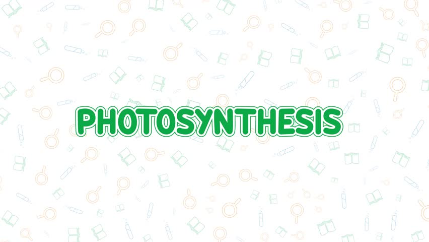 Educational animation video showing photosynthesis in plants explaining how they convert sunlight carbon dioxide and water into glucose and oxygen