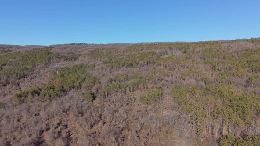 Aerial drone view over rolling forest hills with trees and horizon under blue sky creating vast natural countryside scenery