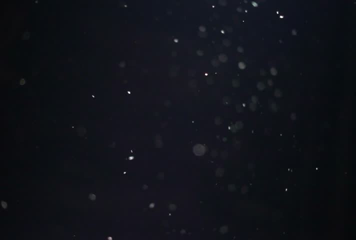 This 4K video features floating white particles captured against a dark background. The visual documents small, light-colored specks moving through a shallow depth of field, resulting in a soft, blurry bokeh effect. The composition highlights glowing, out-of-focus elements and particulate suspension, capturing an atmospheric digital texture with organic movement and high-contrast light diffusion.